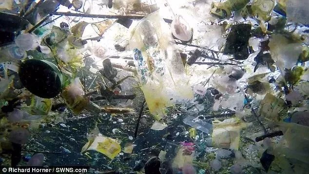 他們探勘世界最深的海底，拍下了這些令人從頭涼到腳的畫面...!