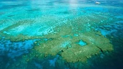 他們探勘世界最深的海底，拍下了這些令人從頭涼到腳的畫面...!