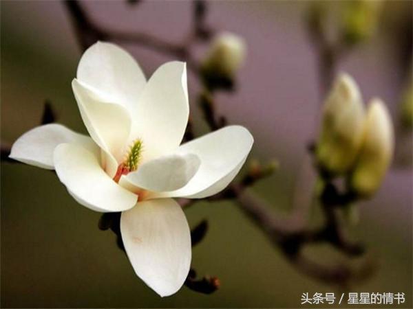 喜事一件接一件，財運一波接一波！3大生肖12號後有喜有財！ 