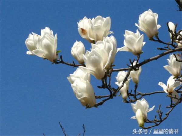 喜事一件接一件，財運一波接一波！3大生肖12號後有喜有財！ 