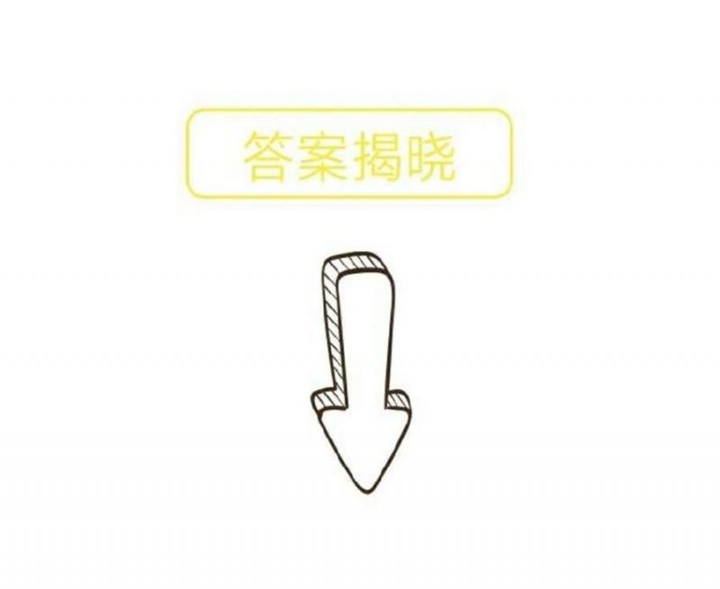 【圖像測驗】憑直覺從圖中選出一個仙人掌，一秒測出你擁有「什麼樣的魅力」！ 