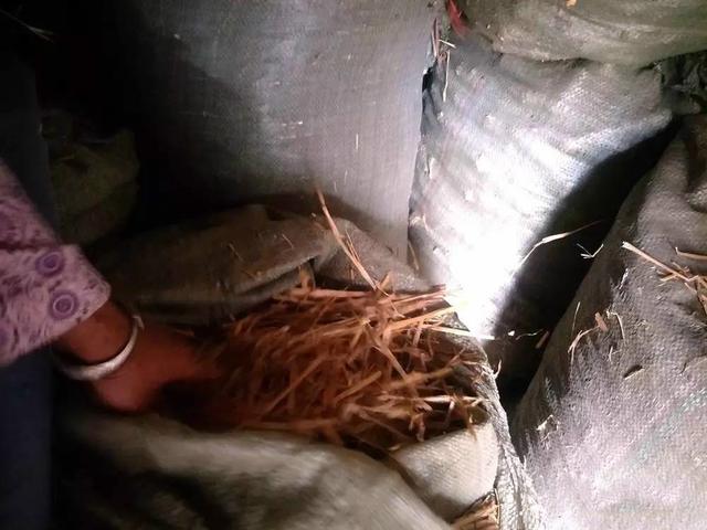 41歲女兒小如嬰兒不會說話，68歲母親放籮筐喂，養堅守41年~，最大願望是聽到女兒叫一聲媽