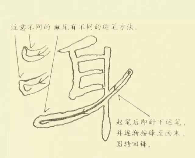 學隸書，從基本筆法開始！