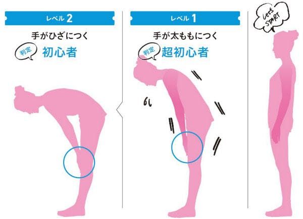 彎不下腰可能是骨盤歪！ 1日5分鐘前彎拉筋 輕鬆瘦身4kg
