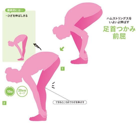 彎不下腰可能是骨盤歪！ 1日5分鐘前彎拉筋 輕鬆瘦身4kg