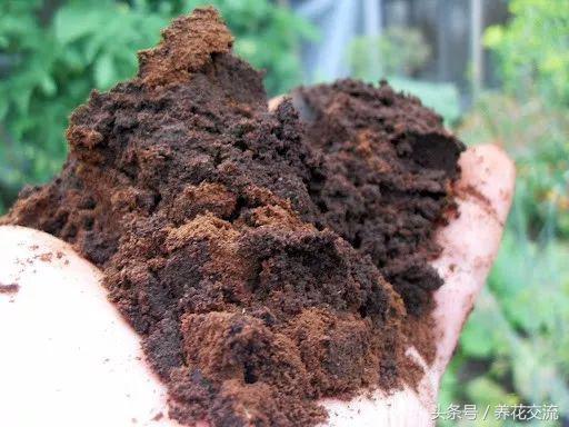 自己在家裡用廢棄的花盆就能製作有機堆肥，只需要掌握7個技巧