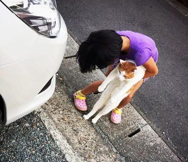 離家出走被半路截住拖上車，橘貓：放開我，我要自由 