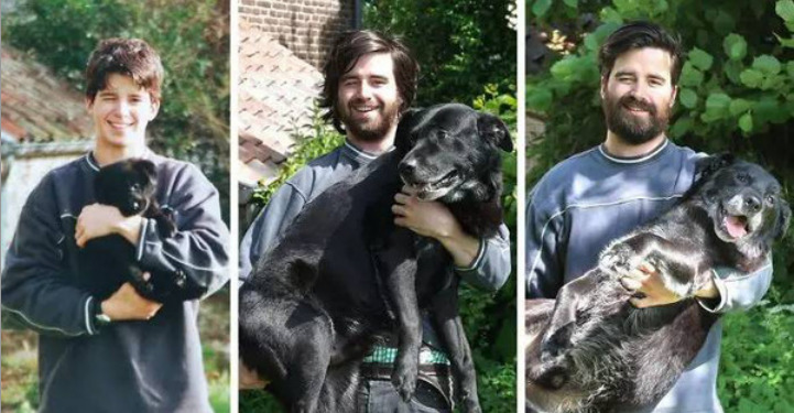主人PO和愛犬「初次相遇VS最後一天」合照，內含大洋蔥網友哭：謝謝你出現在我生命里！