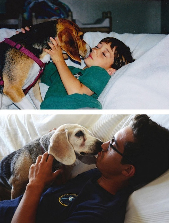 主人PO和愛犬「初次相遇VS最後一天」合照，內含大洋蔥網友哭：謝謝你出現在我生命里！