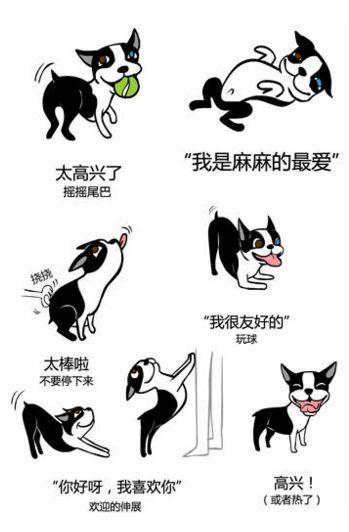 狗狗是如何表達喜怒哀樂的？