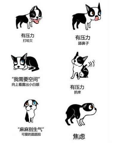 狗狗是如何表達喜怒哀樂的？
