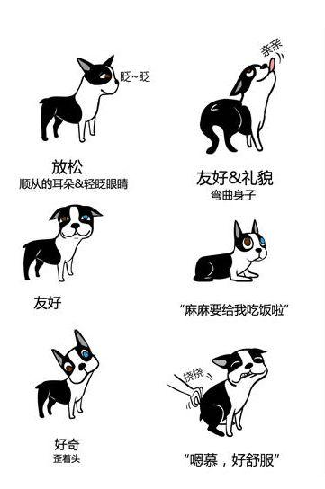 狗狗是如何表達喜怒哀樂的？