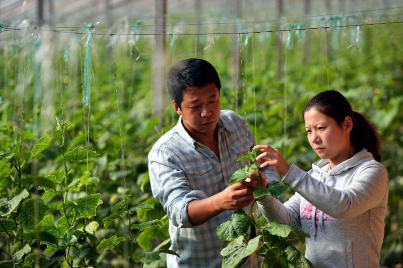 我和老公在堂妹困難時伸出援手，10年後小區保安多次遞給我東西，打開來看…瞬間傻眼了！