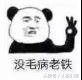 星座cp-獅子座和白羊座