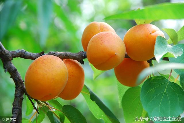 預防記憶力下降，可多吃這6種食物，愛吃的人有福了 