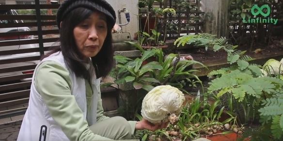 高麗菜「擺冰箱」大錯特錯！專家傳授「放這裡」最新鮮而且永遠吃不完！ 