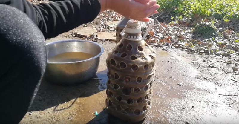 農村大媽教你「在家栽蒜苗」，兩個星期就可收割，香甜美味好吃到你「不要不要的」！ 