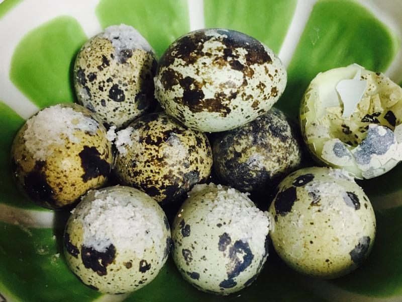 夜市必吃美食「鳥蛋」是怎麼來的？他實際到工廠走一遭才發現...我們錯了好多年！ 