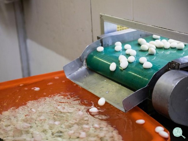 夜市必吃美食「鳥蛋」是怎麼來的？他實際到工廠走一遭才發現...我們錯了好多年！ 