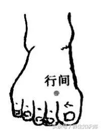 想要皮膚好，肝臟要養好，這4個養肝好方法，堅持做，肝好皮膚凈