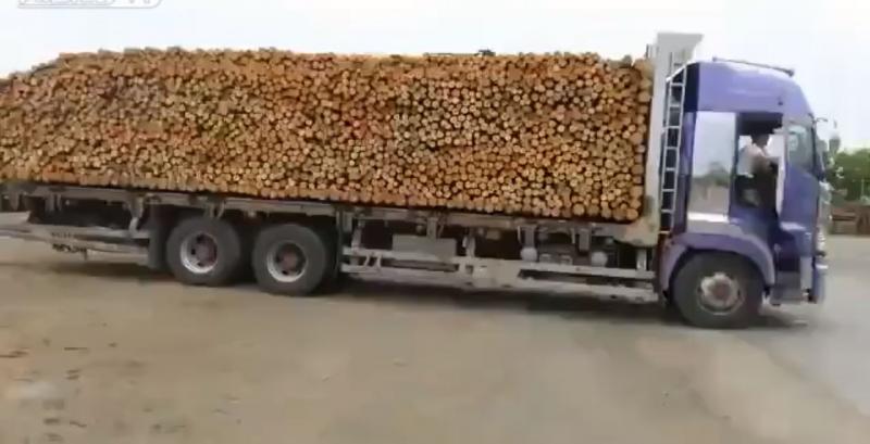 貨車司機突然煞車！下一秒滿車木材整齊排排坐，「30秒卸貨神技」讓萬人驚嘆！ 