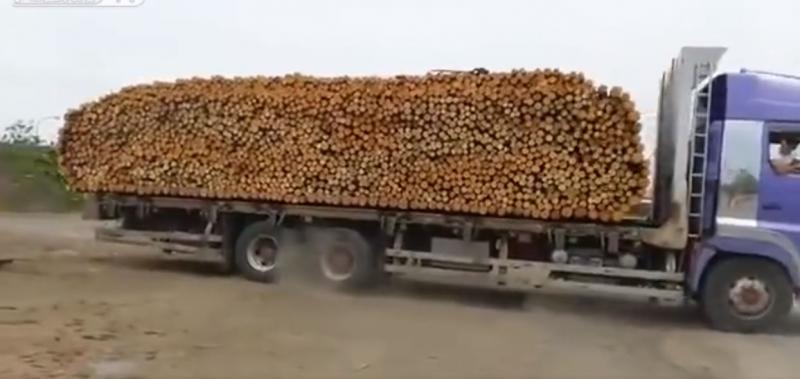 貨車司機突然煞車！下一秒滿車木材整齊排排坐，「30秒卸貨神技」讓萬人驚嘆！ 
