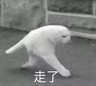科學再次證實狗狗智商逆天！那貓呢？科學家：給貓做實驗…太難了！