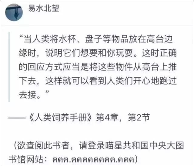 為什麼喵主子總是「把東西推下桌」？專家出面解釋「絕不只是手賤」XDD