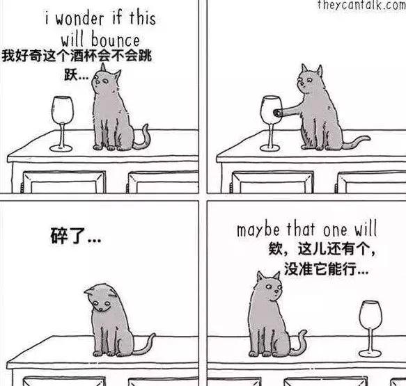 為什麼喵主子總是「把東西推下桌」？專家出面解釋「絕不只是手賤」XDD