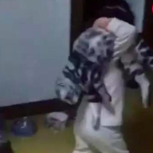 熊孩子把貓咪往肩上一扛就開走，貓咪：出來混，遲早要還的
