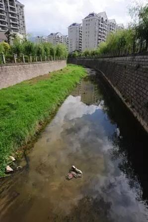 主人將狗狗裝進麻袋扔河，眾人無動於衷，結果意想不到的人出現了 