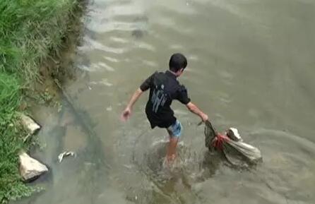 主人將狗狗裝進麻袋扔河，眾人無動於衷，結果意想不到的人出現了 