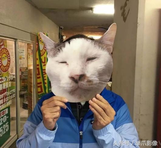 非戰鬥人員請撤離，網紅丑貓，網友：吸不動