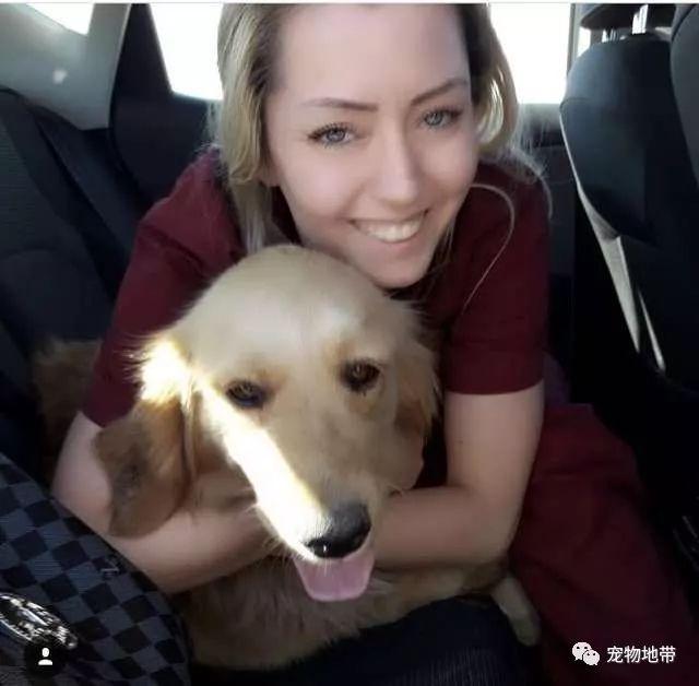 一隻咬著麵包四處流浪的狗狗 一段跨越9000多公里的愛心救援