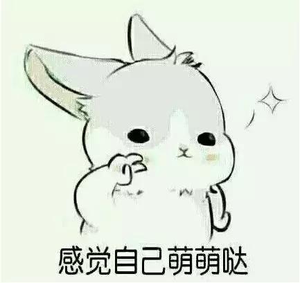 小奶貓組團圍觀大公雞，搶人家大白菜吃，嘗了一口就嫌棄