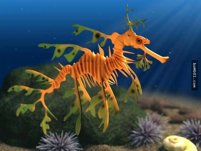 這16種稀奇的海洋生物在海底深處被發現，第10種生物的血盆大口真的會讓人噩夢連連…