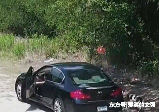 主人將狗狗帶到野外，下車後狗狗滿臉迷茫，但主人的下一個動作讓人看的心碎，心疼可憐的狗狗 