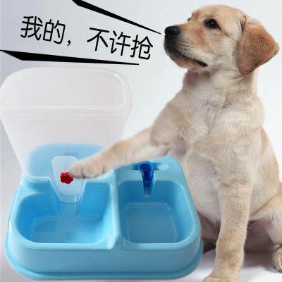 買狗前必須了解這5件事，否則別買了