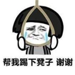 鬥牛犬挑中自己未來主人興奮不已，柯基無奈成為墊腳石