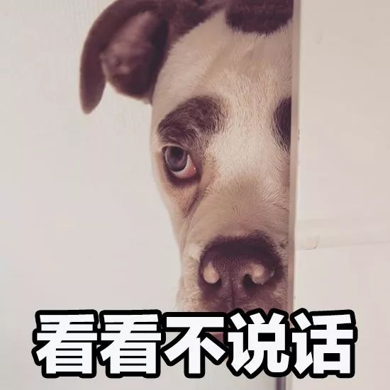 正能量什麼的都算了吧，這隻狗每天都很喪！