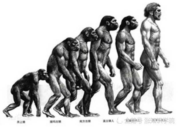 恐龍如果未滅絕是否會進化成恐人，將人類當寵物圈養起來？不可思議的化理論猜測 ~ 