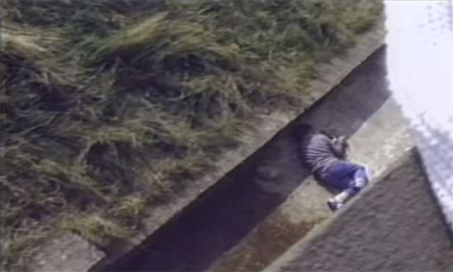 當強壯的大猩猩向意外掉進園區的男孩靠近...大家都覺得「死定了」！接下來的一幕完全出乎意料... 