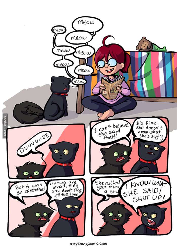 40個養貓人士一定會猛點頭大呼「真的就是這樣！」的貓與主人日常。 