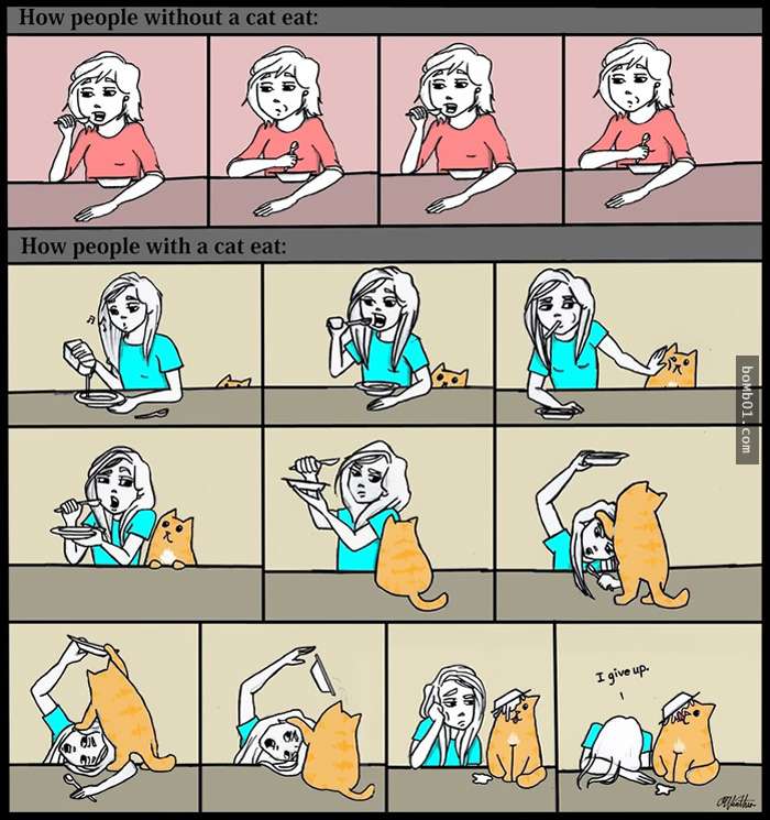 40個養貓人士一定會猛點頭大呼「真的就是這樣！」的貓與主人日常。 