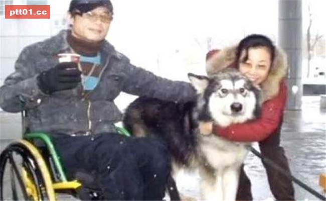 樂於幫助同伴的被虐犬即將面臨安樂死...在生命終結的最後30分鐘出現大逆轉！ 
