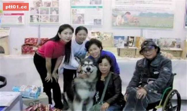 樂於幫助同伴的被虐犬即將面臨安樂死...在生命終結的最後30分鐘出現大逆轉！ 
