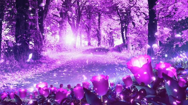 5月的最後10天裡，桃花運旺盛，容易與他人產生曖昧關係的星座！ 