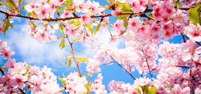 5月的最後10天裡，桃花運旺盛，容易與他人產生曖昧關係的星座！ 