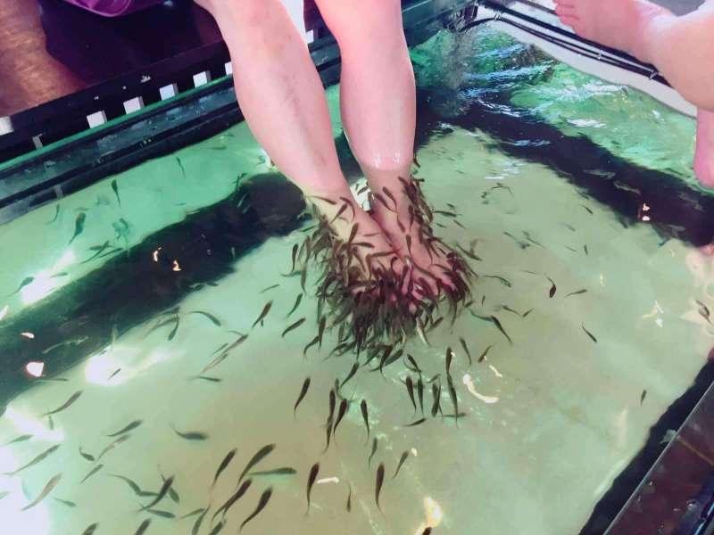 男子做魚療卻泡身體＋尿尿　5分鐘後「全部魚都往生了」