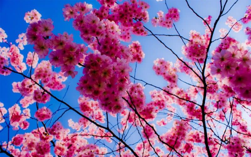 4月倒黴，5月走運，6月發財，3大生肖越到年尾運氣越好 